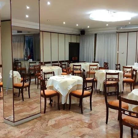 酒店 杜尔墨大酒店 比萨